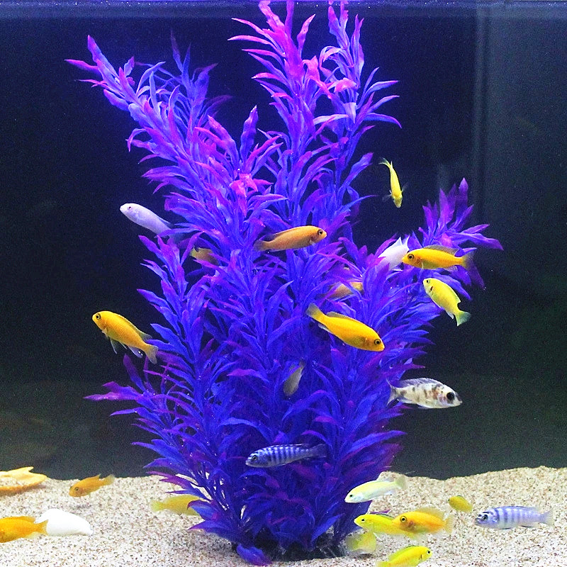 نباتات اصطناعية نادرة لأحواض ا - مراجعة Aquarium Plant Display وسعره