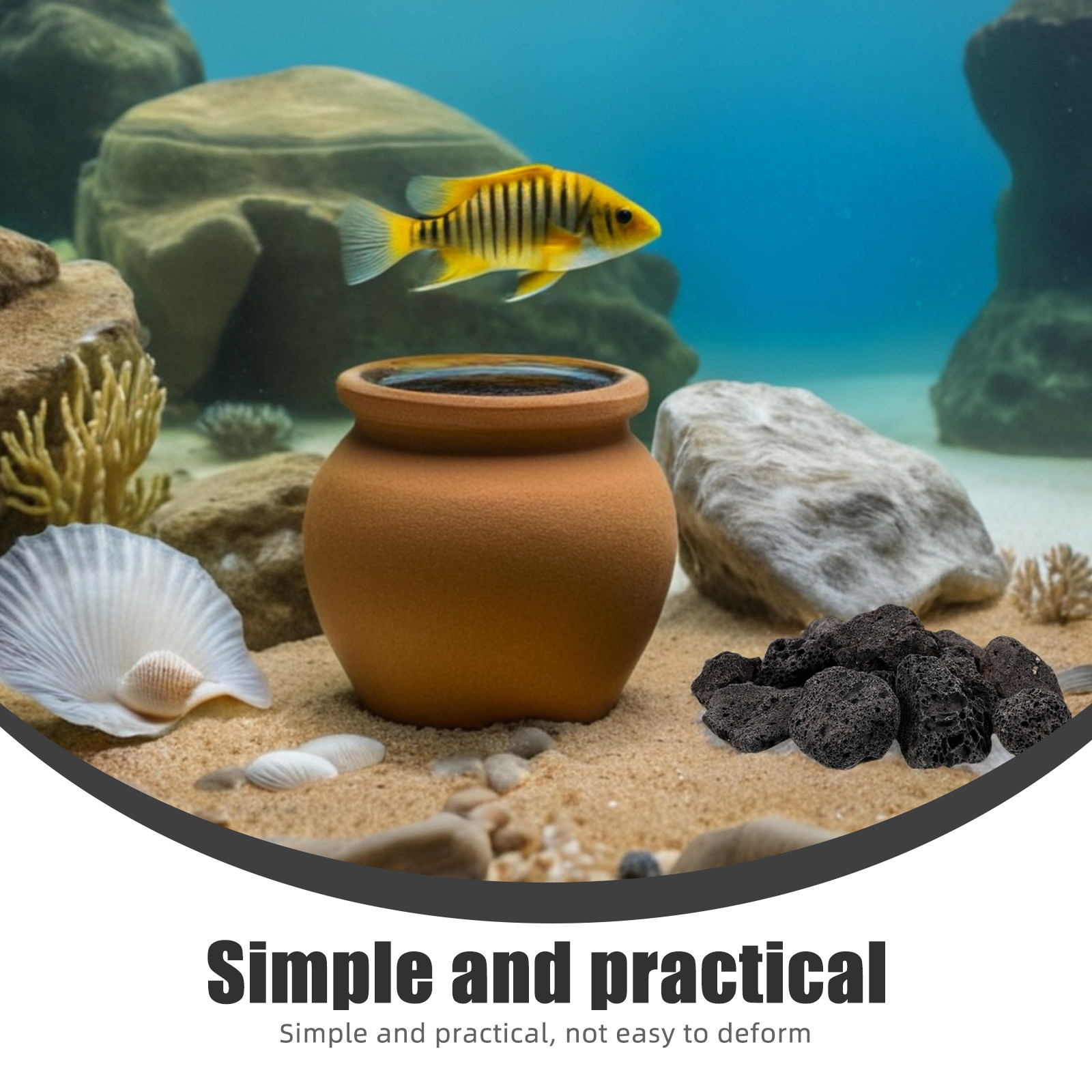 حزمة واحدة من أحجار الحمم البر - مراجعة Aquarium Planted Plants وسعره