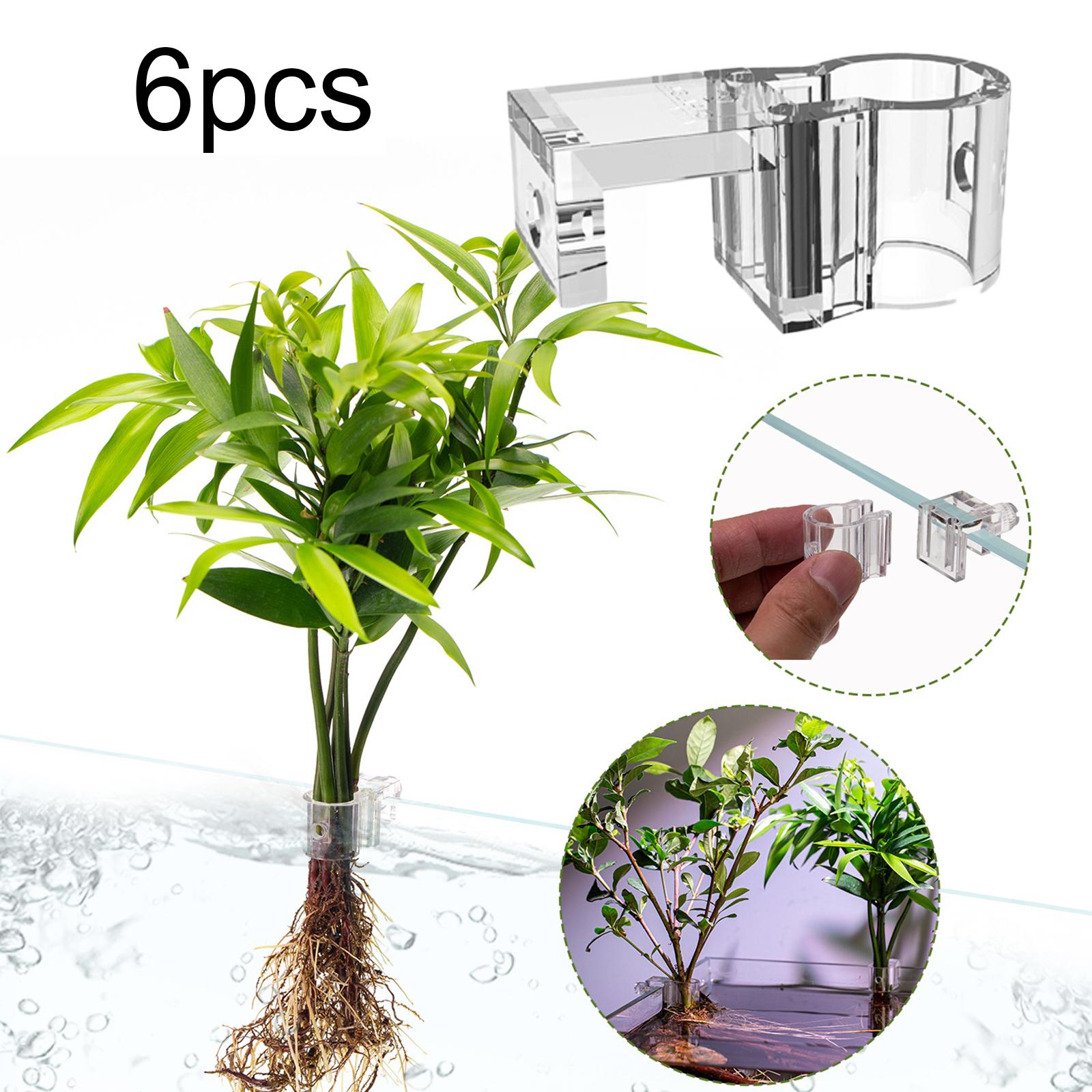 حامل نباتات شفاف ومتين لحائط ح - مراجعة Aquarium Planted Wall وسعره