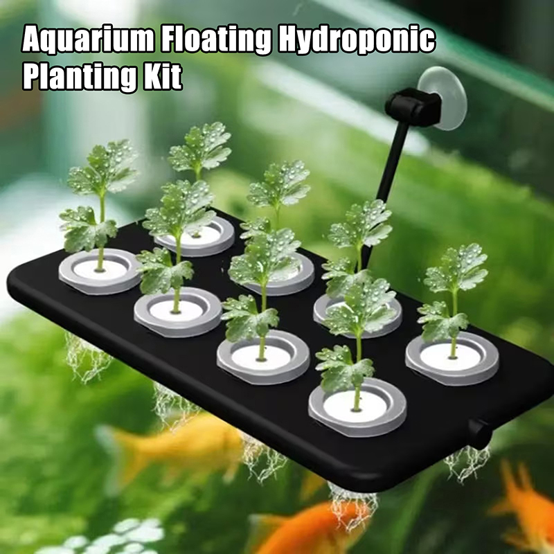 طقم زراعة مائية عائمة للأحواض  - مراجعة Aquarium Planted Wall وسعره