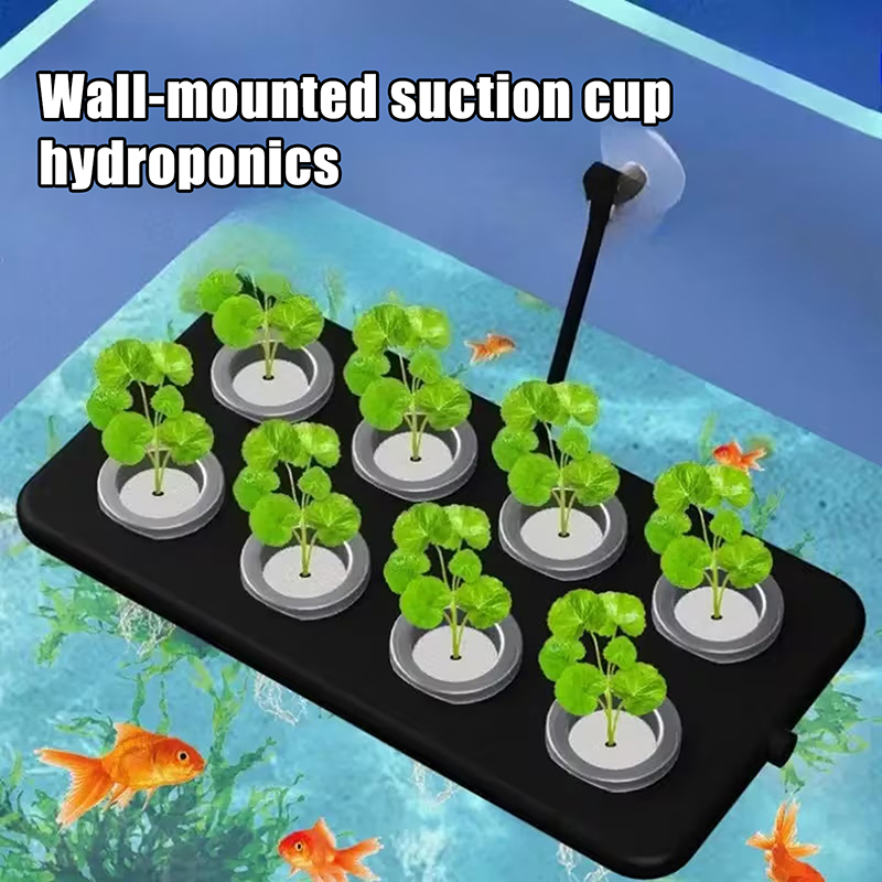 طقم زراعة مائية عائمة للأحواض  - مراجعة Aquarium Planted Wall وسعره