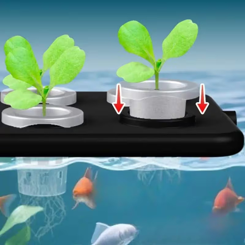 طقم زراعة مائية عائمة للأحواض  - مراجعة Aquarium Planted Wall وسعره