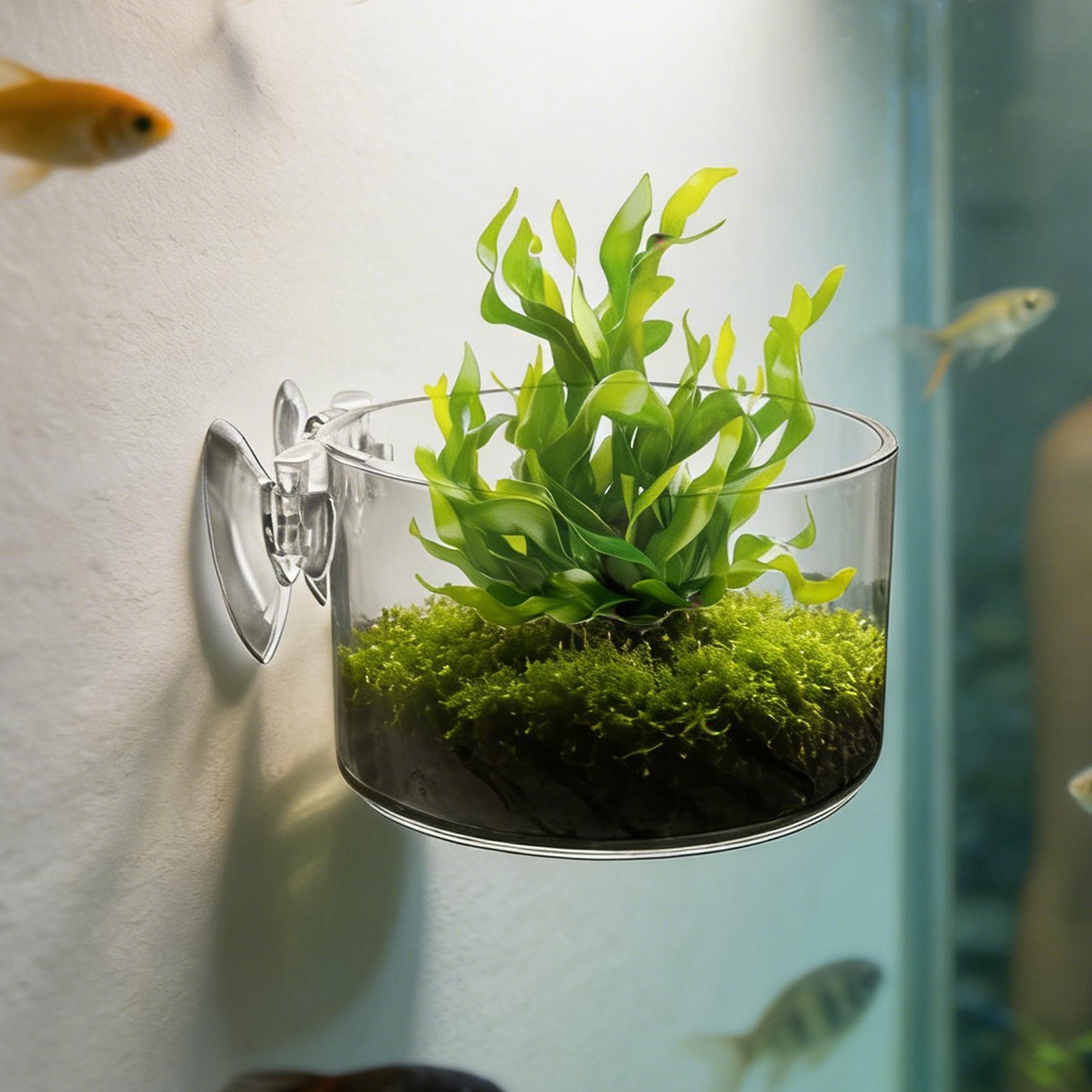 حامل نباتات الأحواض المائية من - مراجعة Aquarium Planted Background وسعره