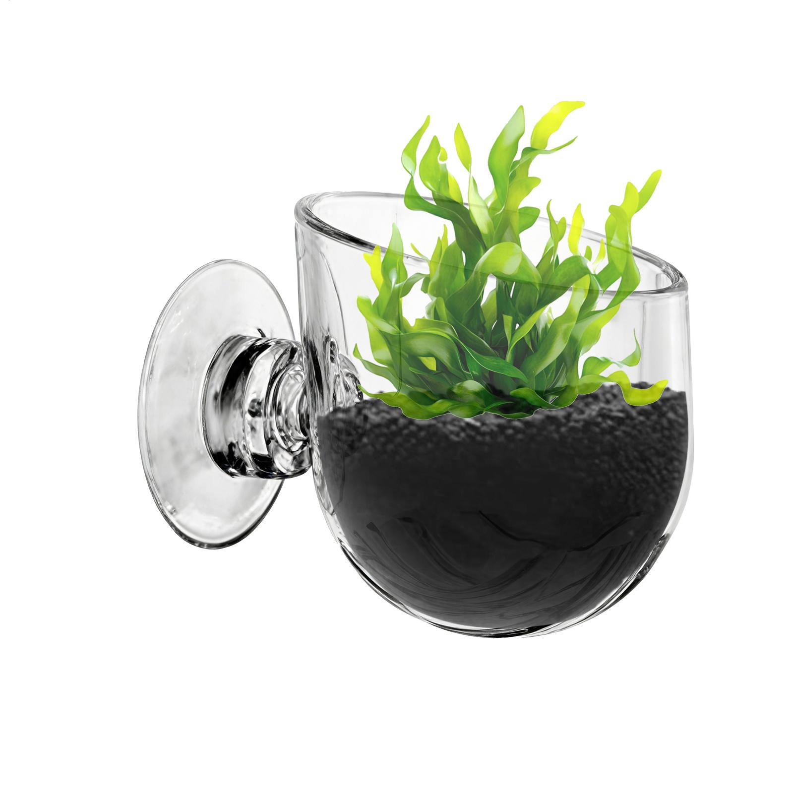حامل نباتات الأحواض المائية من - مراجعة Aquarium Planted Background وسعره