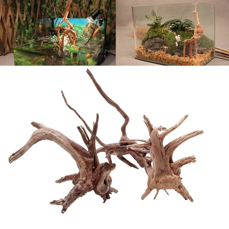 جذع شجرة طبيعية Driftwood خزان - مراجعة Planted Aquarium Making وسعره