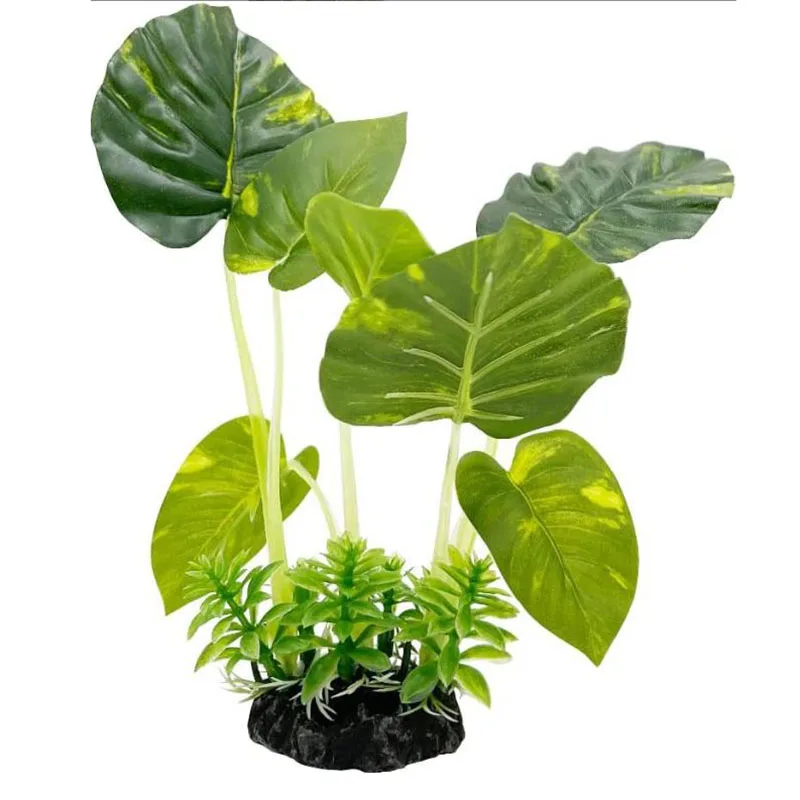 صغيرة تحت الماء العشب حوض للأس - مراجعة Aquarium Planted Background وسعره