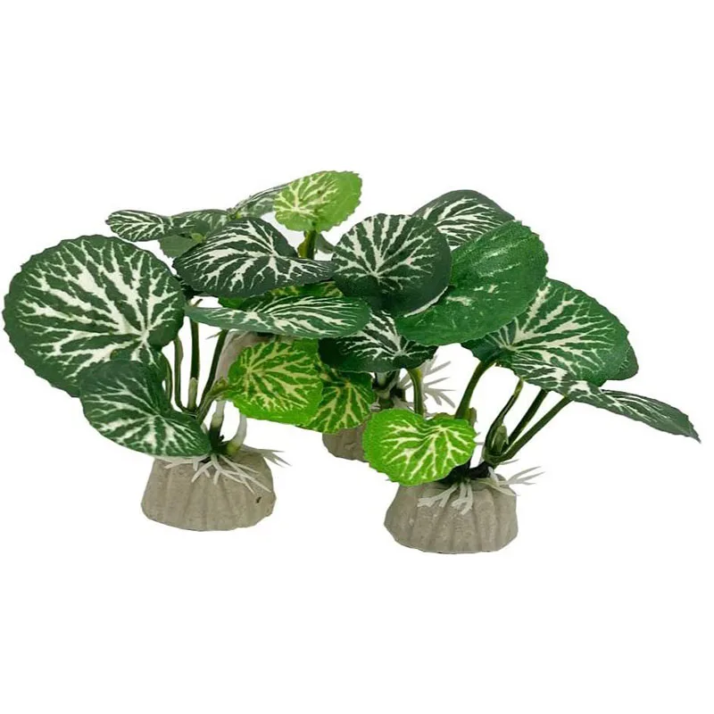 صغيرة تحت الماء العشب حوض للأس - مراجعة Aquarium Planted Background وسعره