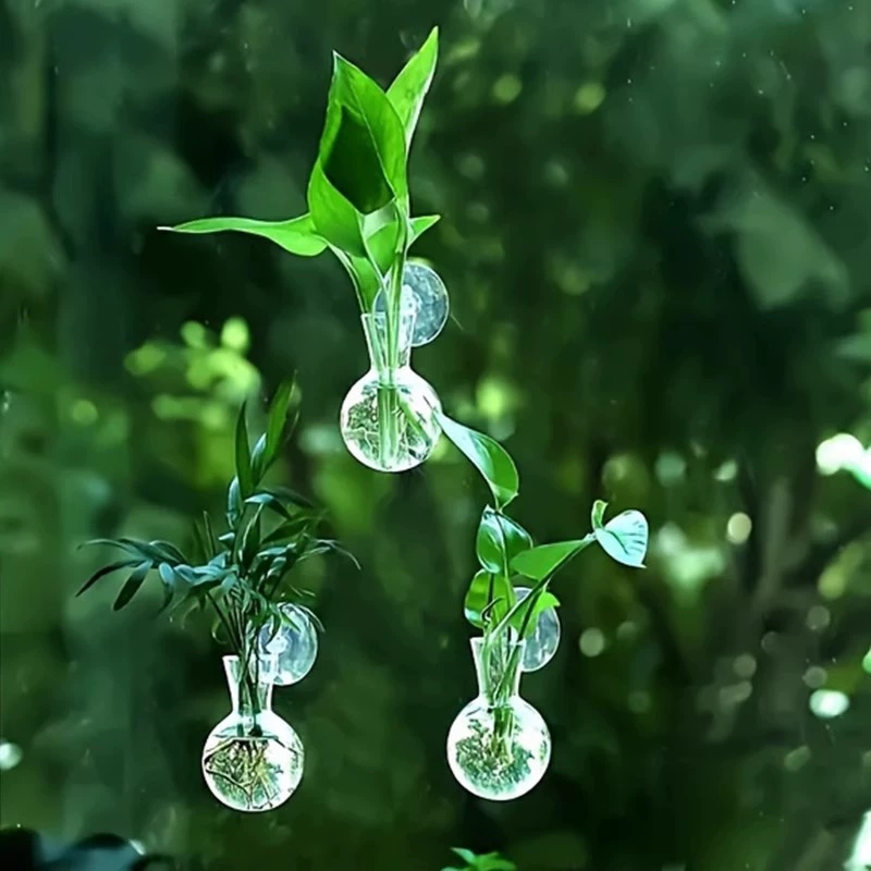 الإبداعية شبه دائرية فئة الحائ - مراجعة Aquarium Planted Wall وسعره