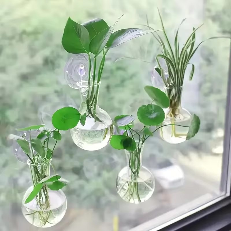 الإبداعية شبه دائرية فئة الحائ - مراجعة Aquarium Planted Wall وسعره