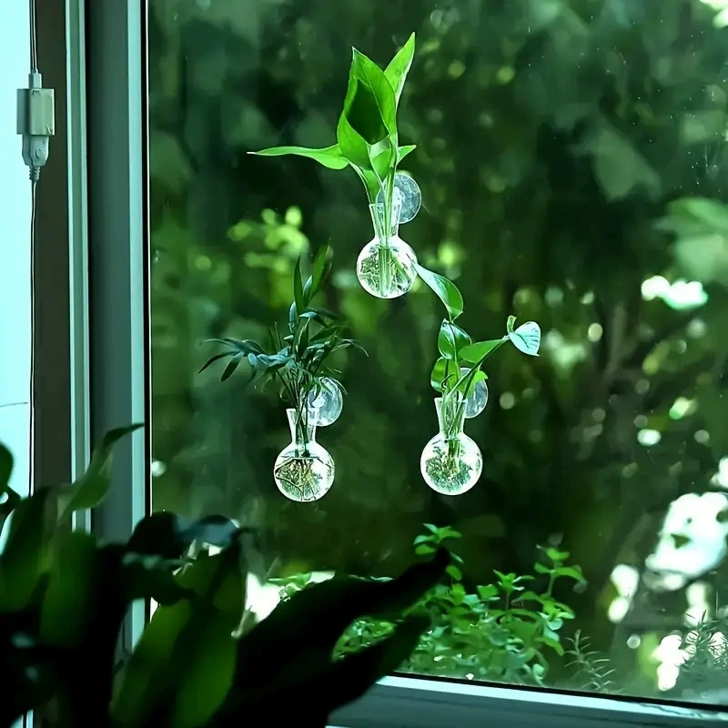 الإبداعية شبه دائرية فئة الحائ - مراجعة Aquarium Planted Wall وسعره