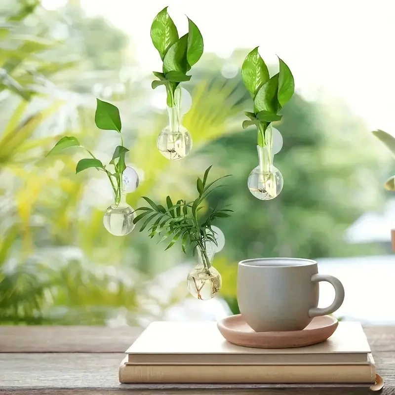 الإبداعية شبه دائرية فئة الحائ - مراجعة Aquarium Planted Wall وسعره